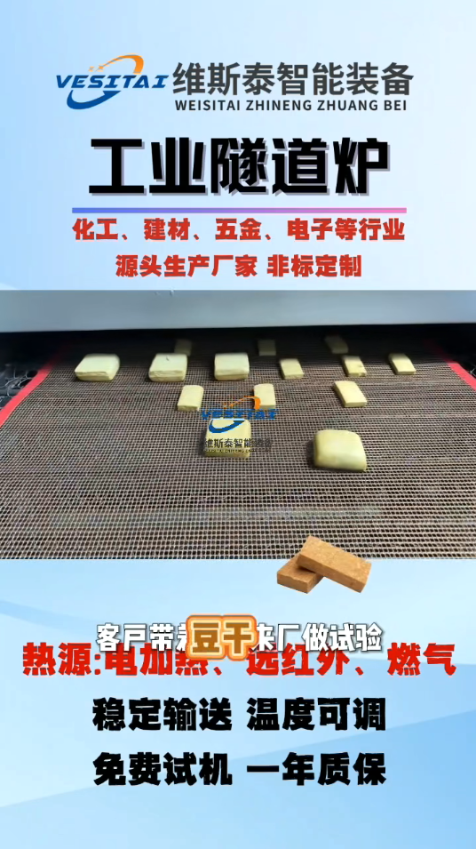 【豆干烘烤食品隧道炉】—维斯泰客户来厂做产品试验